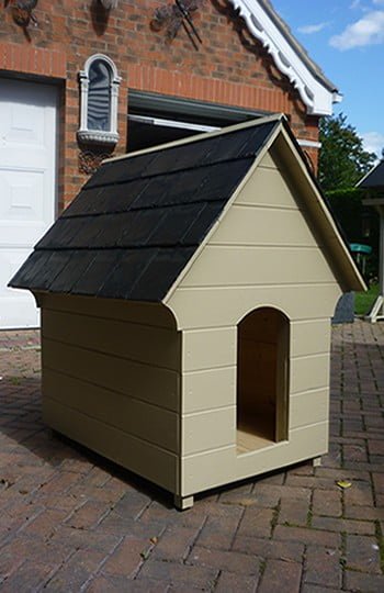 Top Dog Kennels Bristol Reviews Top Dog Kennels Bristol Reviews