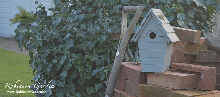 bird box camera, bird boxes for sale, bird box book, bird box camera kit, bird box hole size, bird box kits, bird box camera wireless, bird box for robins, bird box ideas, bird box construction, bird box camera wireless review, bird box amazon, bird box animation, bird box and camera, bird box argos, bird box and wireless camera, bird box amazon uk, bird box accessories, bird box advice, bird box aspect, bird box and camera kit, a bird box in devon, making a bird box, siting a bird box, making a bird box instructions, placing a bird box, build a bird box kit, hanging a bird box, make a bird box kit, making a bird box for robins, mounting a bird box, bird box b&q, bird box book review, bird box building, bird box best position, bird box book summary, bird box book pdf, bird box build your own, bird box blackbird, bird box book movie, b&q bird box, b and m bird box, bird box camera rspb, bird box cctv, bird box camera wifi, bird box camera ipad, bird box camera kit aldi, bird box designs, bird box devon, bird box direction, bird box diy, bird box dinerama, bird box designs pdf, bird box drawings, bird box designs uk, bird box dimensions uk, bird box designs for robins, bird box epub, bird box ebay, bird box etsy, bird box entrance hole size, bird box entrance hole plate, bird box entrance plates, bird box ending, bird box epub download, bird box ebook, bird box ebook download, bird box for sale, bird box feeder, bird box for camera, bird box film, bird box for sparrows, bird box flow chart, bird box for window, bird box from pallet, bird box for blackbird, f-bird boxing gym, f-bird boxing, bird box gift, bird box goodreads, bird box gallery, bird box glas, bird box gary, bird box gable end, bird box guide, bird box guard, bird box geocache, bird box gardeners world, bird box hole protectors, bird box hole size robin, bird box height, bird box homebase, bird box how to make, bird box hangers, bird box hedgehog, bird box heater, bird box hd camera, bird box images, bird box ip camera, bird box instructions, bird box installation, bird box imdb, bird box ireland, bird box ice cream, bird box info, bird box in winter, bird box josh malerman, bird box john lewis, bird box josh malerman pdf, bird box josh malerman epub, bird box josh malerman epub download, bird box josh malerman summary, bird box josh malerman download, bird box josh malerman spoilers, bird box joints, bird box jokes, jay bird box, blue jay bird boxes, jay strongwater bird box, bird box kits for schools, bird box kits to make, bird box key holder, bird box kindle, bird box kits uk, bird box keyring, bird keepsake box, bird key box, bird box light, bird box location, bird box location rspb, bird box location uk, bird box leftovers, bird box libro, bird box live camera, bird box live stream, bird box log, bird box london, bird box making, bird box movie, bird box materials, bird box making kits, bird box metal plates, bird box manufacturer, bird box malerman, bird box metal hole, bird box making instructions, bird box make your own, m&s bird box, bird box novel, bird box night light, bird box nz, bird box novel review, bird box novel spoilers, bird box nest positioning, bird box not on the high street, bird box names, bird box new zealand, bird box network camera, bird box orientation, bird box okehampton, bird box on house wall, bird box opening sizes, bird box origami, bird box online, bird box on pole, bird box on stand, bird box olive, bird box office, bird box plans, bird box project, bird box placement, bird box plates, bird box paint, bird box pets at home, bird box plans uk, bird box pottery, bird box plans free, bird box plans pdf, bird box quotes, bird box questions, bird box questionnaire, quirky bird box, bird box rspb, bird box review, bird box robin, bird box roof, bird box read online, bird box ringtone, bird box reddit, bird box raspberry pi, bird box rental devon england, bird box radio, bird box sizes, bird box siting, bird box studio, bird box spy camera, bird box street food, bird box shelf, bird box security camera, bird box sale, bird box squirrel trap, bird box schwegler, bird box s, bird box template, bird box template pdf, bird box types, bird box table, bird box tips, bird box time of year, bird box tiny house, bird box tuebl, bird box trap, bird box themes, bird box uk, bird box usb camera, bird box use, bird box cameras uk, bird box position uk, bird box placement uk, buy bird box uk, bird box siting uk, bird box view, bird box video, bird box video camera, bird box varnish, bird box vimeo, bird box viewer, bird box value, bird voice box, bird voice box removal, bird valentine box, bird box with camera, bird box week, bird box wireless camera kit, bird box with camera lidl, bird box window, bird box wood, bird box wallpaper, bird box wireless camera reviews, bird box with built in camera, bird box where to site, bird box xmas card, bird of steel x box, bird box youtube, singing bird box youtube, bird box camera youtube, bird box don open your eyes, young bird box perches, youtube bird box wildebeest, flappy bird box 10, schwegler bird box 1b, brad bird 1952 box, 1b bird box, bluebird black box1, bird box 25mm hole, bird box week 2013, bird feather candy box 2, aldi bird box camera 2013, aldi bird box camera 2014, 25mm bird box, 28mm bird box plate, 28mm bird box, aldi bird box camera 2011, bluebird black box2, angry bird for xbox 360, bird box 3d model, 3 different bird boxes, bird box for bluetit, bird box for wrens, bird box for starlings, bird box for goldfinch, reps 4 bird boxes, sony ccd bird box 520tvl camera, bird scores 60 box score, 700tvl bird box camera, bird box, bird box studio youtube, top 10 bird boxes, bird nest boxes, bird nest box camera, bird nest box designs, bird nest box camera reviews, bird nest boxes uk, bird nest box hole sizes, bird nest box camera wireless, bird nest boxes sale, bird nest box siting, bird nest boxes plans free, bird nest box with web camera, bird nest box kits, bird nest box hole protector, bird nest box metal plate, bird nest box and camera, bird nest box advice, siting a bird nest box, making a bird nest box, how to clean a bird nest box, where to place a bird nest box, bird nest box bedding, bluebird nest box, build bird nest box, blackbird nest box, buy bird nest box, butcher bird nest box, bluebird nest box hole size, big bird nest box, bluebird nest box height, bees bird nest box, bird nest box construction, bird nest box colour camera, bird nest box cleaning, bird nest box milk carton, cockatiel bird nest box, cedar bird nest box, bird nest box direction, wild bird nest box dimensions, lovebird nest box dimensions, diy bird nest box, bird's eye view nest box, eastern bluebird nest box, bird nest box for sale, bird nest boxes for sale uk, bird nest box plans free, finch bird nest box, free bird nest box, position for bird nest box, nest box and bird feeder camera, plan for bird nest box, camera for bird nest box, bird nest gift box, bird nest gift box malaysia, gardman bird nest box, garden bird nest box, gardman wild bird nest box, bird nest box hyderabad, window nest box birdhouse, bird nest box india, bird nest box instructions, bird nest box information, bird nest box online india, bird nest box camera kit, bird nest box location, bluebird nest box location, lovebird nest box, large bird nest box, lovebird nest box size, bird nest box maintenance, bird nest box malaysia, bird nest packaging box malaysia, mynah bird nest box, make bird nest box, mrs birdee bird nest box, bird nest in newspaper box, national bird nest box week, birds nest box office, birds nest box office phone number, bird of prey nest box, bird nest box plans, bird nest box position, bird nest box placement, bird nest box plates, bird nest box patterns, bird nest box pune, bird nest box pdf, bird nest packaging box, bird nest plastic box, bluebird nest box plans, bird nest box rspb, robin bird nest box, rspb bird nest box plans, red bird nest box, bird nest box sizes, bird nest box singapore, bird nest boxes south africa, bird nest shadow box, cockatiel bird nest box size, small bird nest box, bird nest box template, titmouse bird nest box, bird tables with nest box, bird nest box uk, wild bird nest boxes uk, window view bird nest box, bird nest box with camera, bird nest box with wireless camera, bird nest box with colour camera, bird nest box week, bird nest box wikipedia, window bird nest box, wild bird nest box plans, wild bird nest box, bird nest boxes for sale.